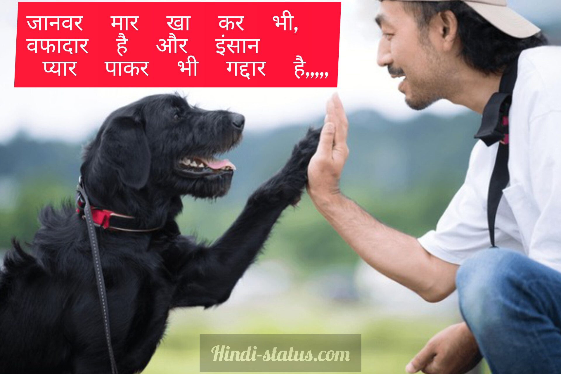 Attitude images | ATTITUDE | Hindi meaning Ppt on types of attitude, Does girls have high attitude Attitude is Everything Training difficult dogs, Stubborn Dog Breeds