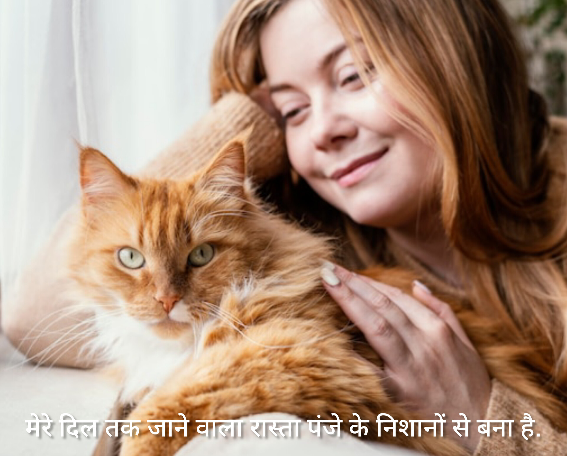 Best Cat Status in Hindi | Best Cat Status Quotes Quotes For Every Cat Lover Cat Lover Shayari in Hindi, Cat Shayari Status Quotes in Hind, Pawsome Cat Quotes Captions for Cat lovers, Cat Quotes for Every Occasion - 2026